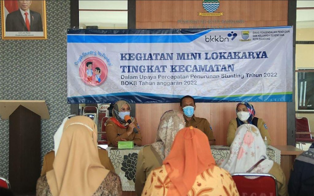 Optimalisasi Peran Tim Pendamping Keluarga Atasi Stunting, DPPKB Gelar ...